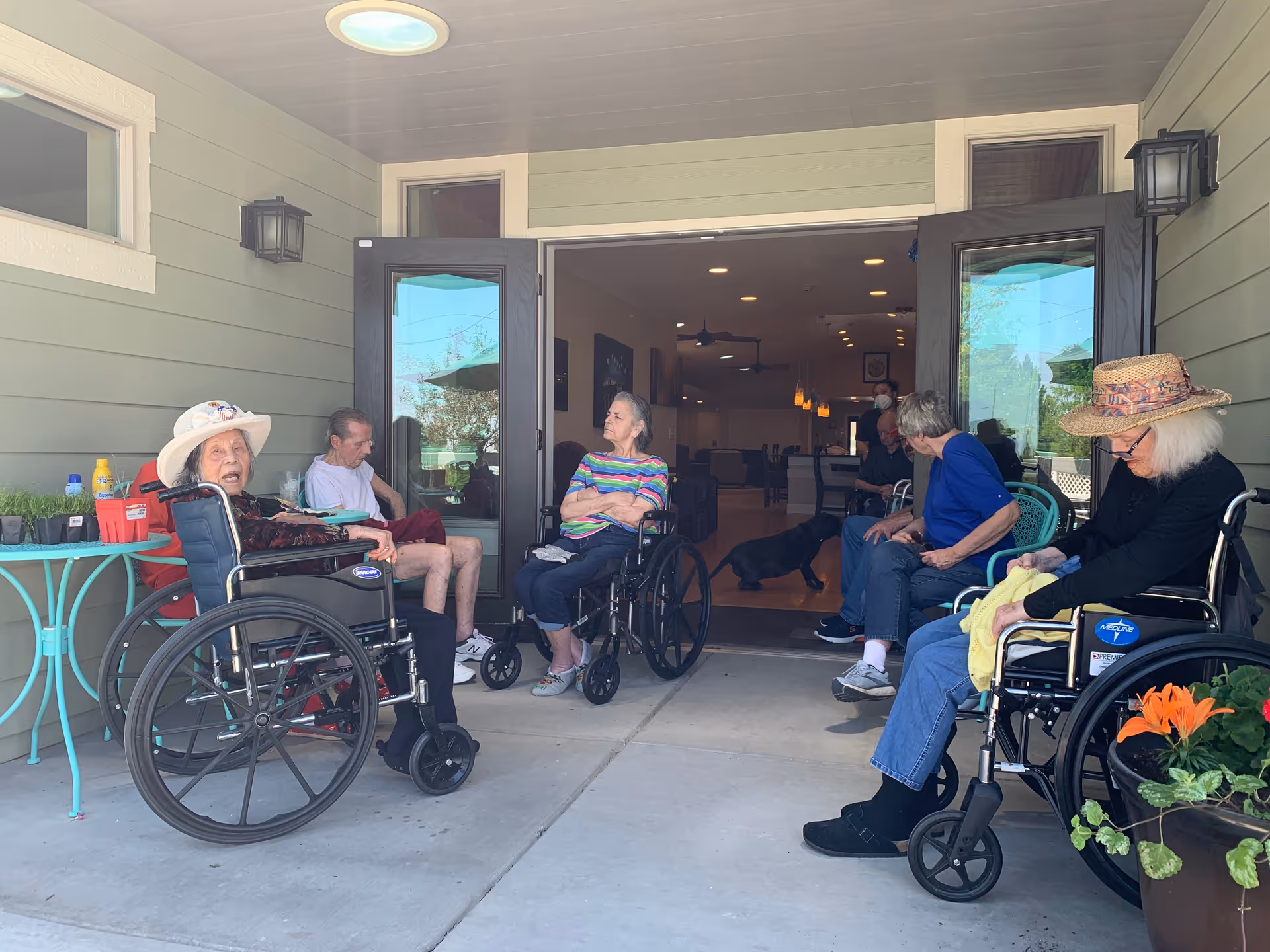 Several elderly individuals, some in wheelchairs, sitting and socializing on a covered patio area outside a building with open double doors leading to an interior common space. There is a small turquoise table with plants and condiments on the left, and a potted plant with orange flowers on the right. A black dog is visible inside the building.