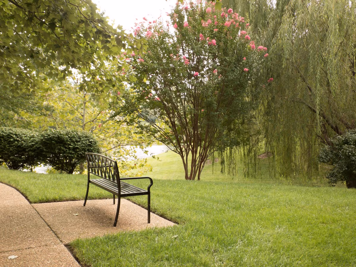 A black metal bench on a paved pathway in a green garden area with lush grass, bushes, a tree with pink flowers, and a weeping willow tree in the background.