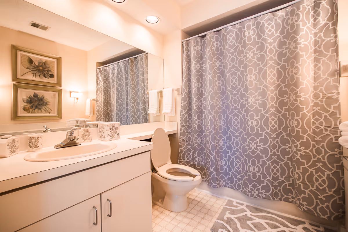 A clean and well-lit bathroom featuring a white sink with a silver faucet, a large mirror above the sink, a toilet with the lid open, a patterned gray and white shower curtain, a matching bath mat, and two framed botanical prints on the wall.
