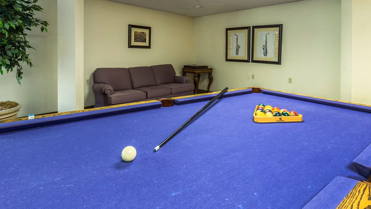 Indoor recreation room featuring a purple-felt pool table with a cue and racked balls, a couch, framed pictures, and a potted plant.