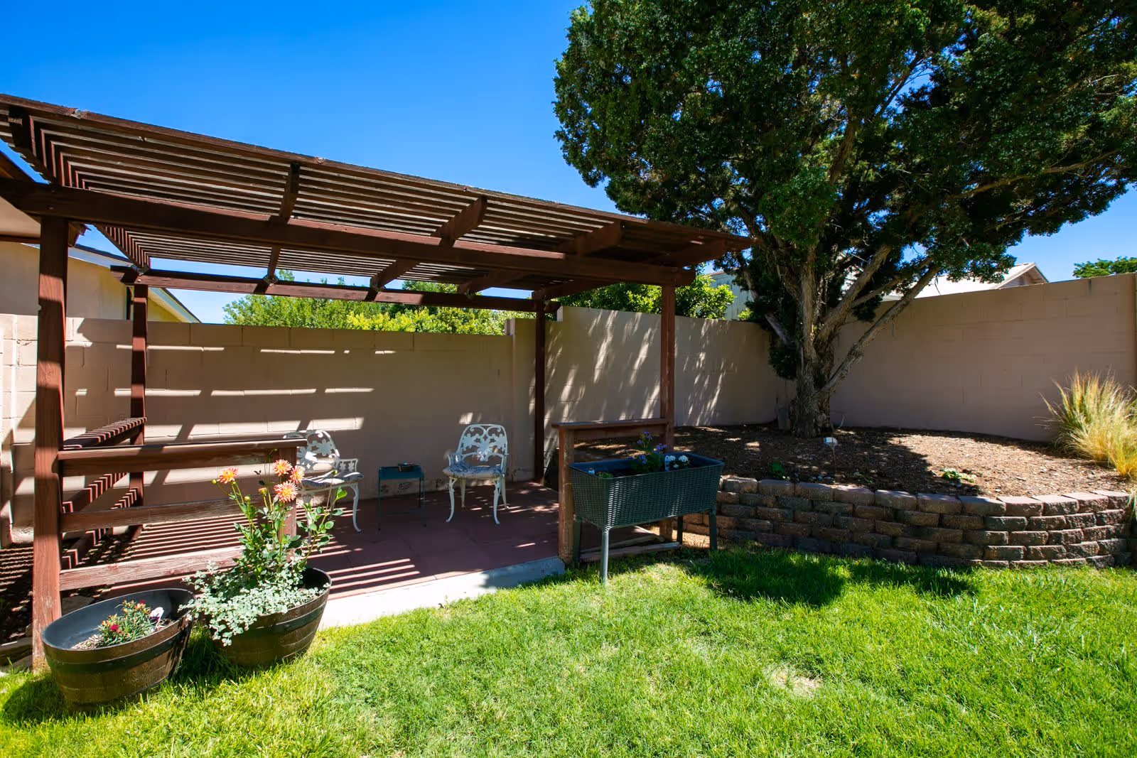 Outdoor garden area with a wooden pergola providing partial shade over two white metal chairs and a small table. There are potted plants with flowers near the pergola, a raised garden bed with soil and a large tree, and a well-maintained green lawn under a clear blue sky.