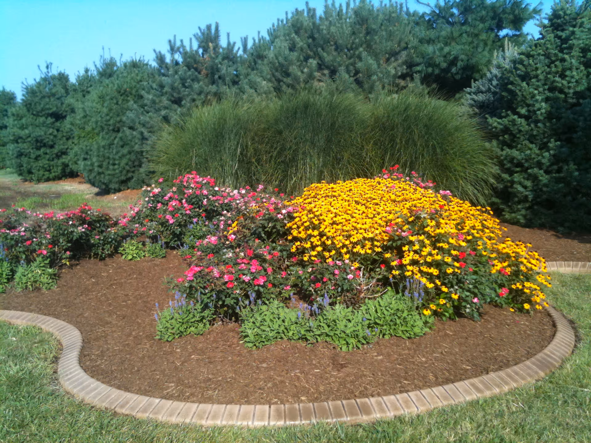 A landscaped garden bed with a variety of colorful flowers including yellow and pink blooms, surrounded by a curved brick border. Behind the flower bed are tall green grasses and pine trees under a clear blue sky.