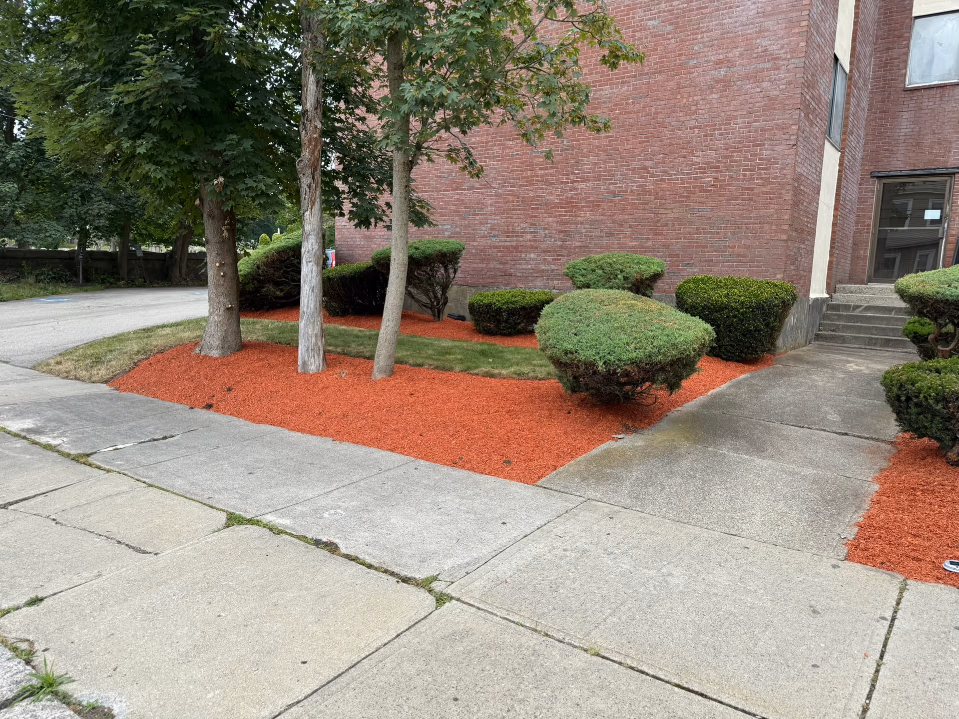 Outdoor view of a landscaped area next to a brick building with trimmed bushes, trees, red mulch, and a concrete sidewalk leading to a door with stairs.