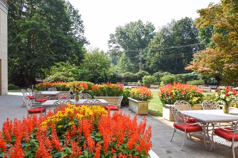 Outdoor patio area with white metal tables and chairs featuring red cushions, surrounded by vibrant flower beds with red and yellow flowers. In the background, there are green trees and a grassy area with benches.