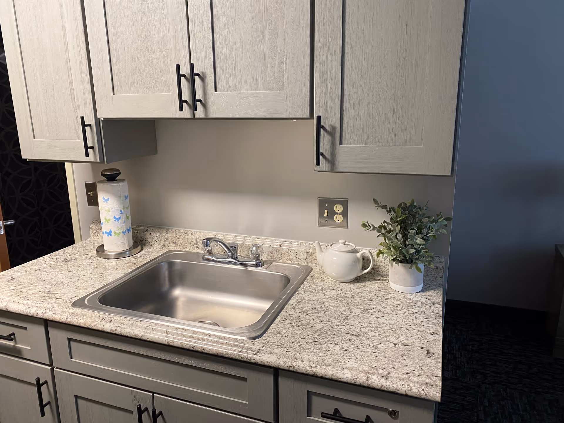 A kitchen countertop with a stainless steel sink, a faucet, a paper towel holder with butterfly-patterned paper towels, a white teapot, and a small potted plant. Above the countertop are light gray cabinets with black handles.