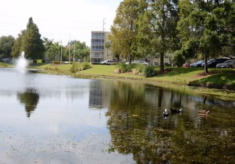 Pond with ducks and a fountain in front of a mid-rise building surrounded by trees and parked cars.