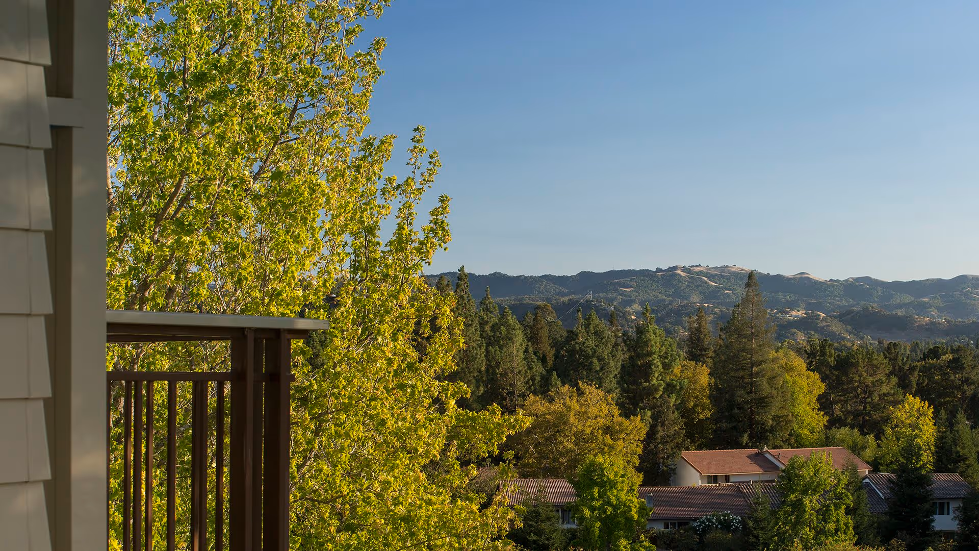 View of a balcony railing with green leafy trees and a residential area with houses and rooftops in the background, along with distant hills under a clear blue sky.