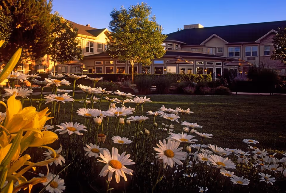 Sunlit flower garden with daisies in the foreground and the front of a senior living building in the background at dusk.