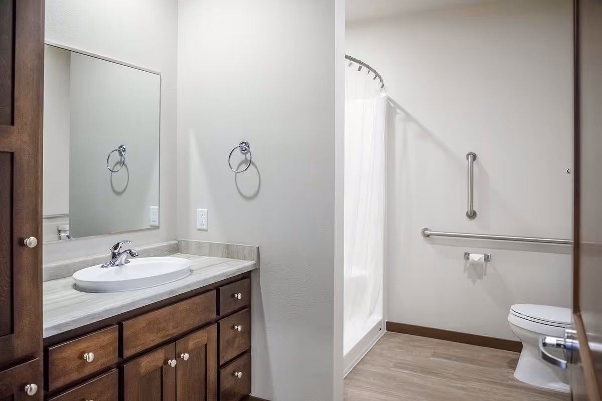 A clean and modern bathroom with a wooden vanity featuring multiple drawers and a white sink with a chrome faucet. There is a large mirror above the sink and a towel ring on the wall. The bathroom includes a toilet with grab bars on the wall for accessibility and a shower with a white curtain.