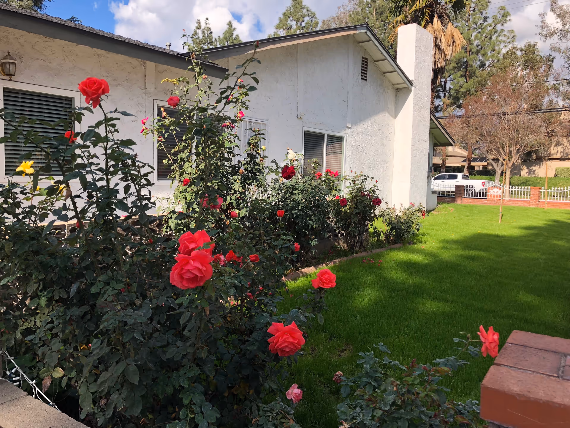 A white single-story building with windows and a garden in front featuring blooming red and yellow roses. The lawn is green and well-maintained, with trees and a white fence visible in the background under a partly cloudy sky.