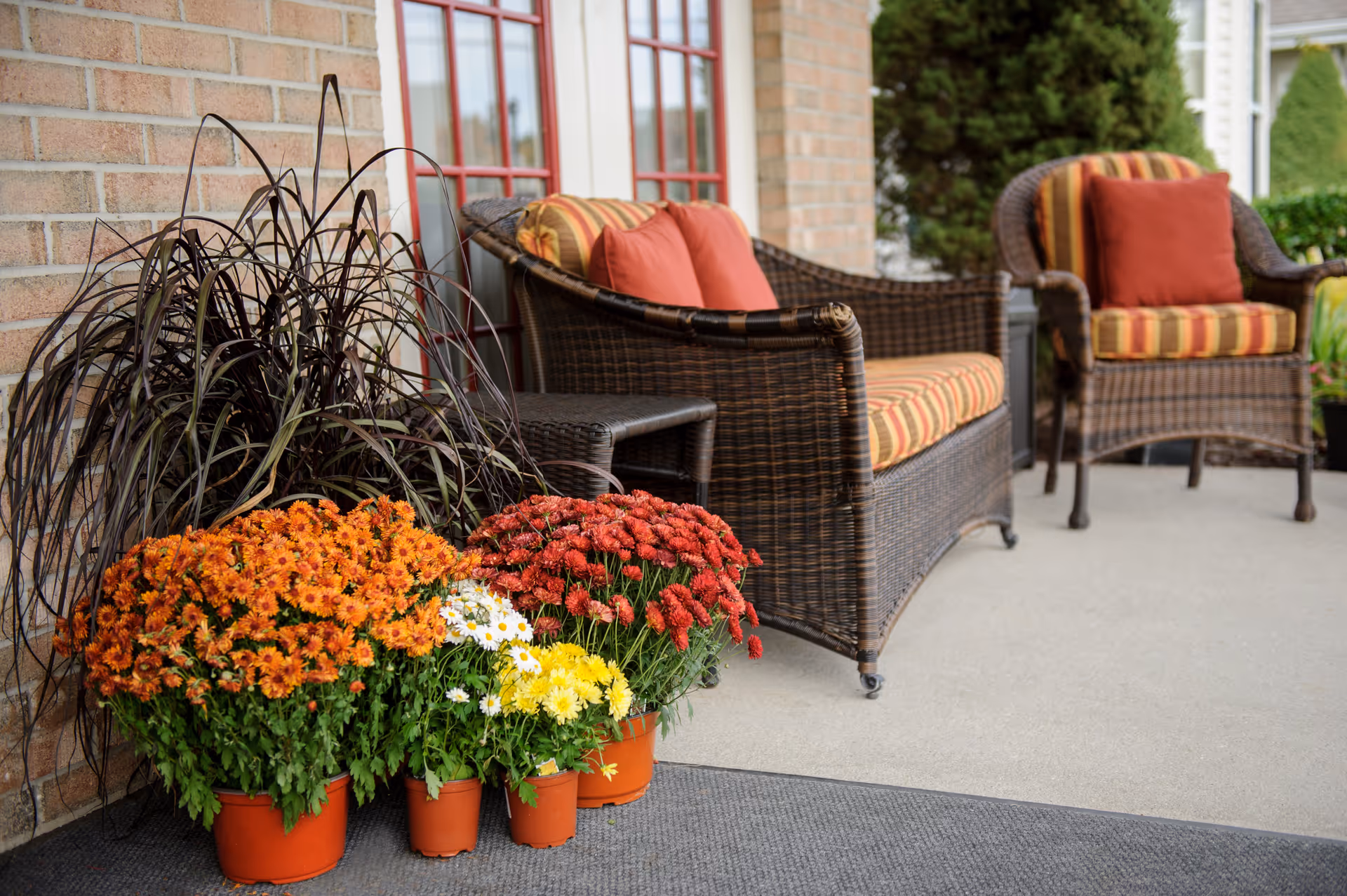 Wicker patio chairs with striped cushions on a covered porch beside several potted flowering plants.