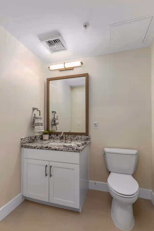 A clean and modern bathroom featuring a white toilet and a white vanity with a granite countertop. Above the vanity is a rectangular mirror with a wooden frame and a horizontal light fixture mounted above it. A small potted plant and folded towels are placed on the countertop. The walls are painted a light beige color and the floor is tiled.