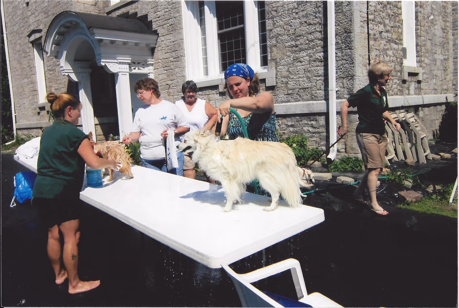 Several women outdoors washing dogs on a folding table in front of a stone building.
