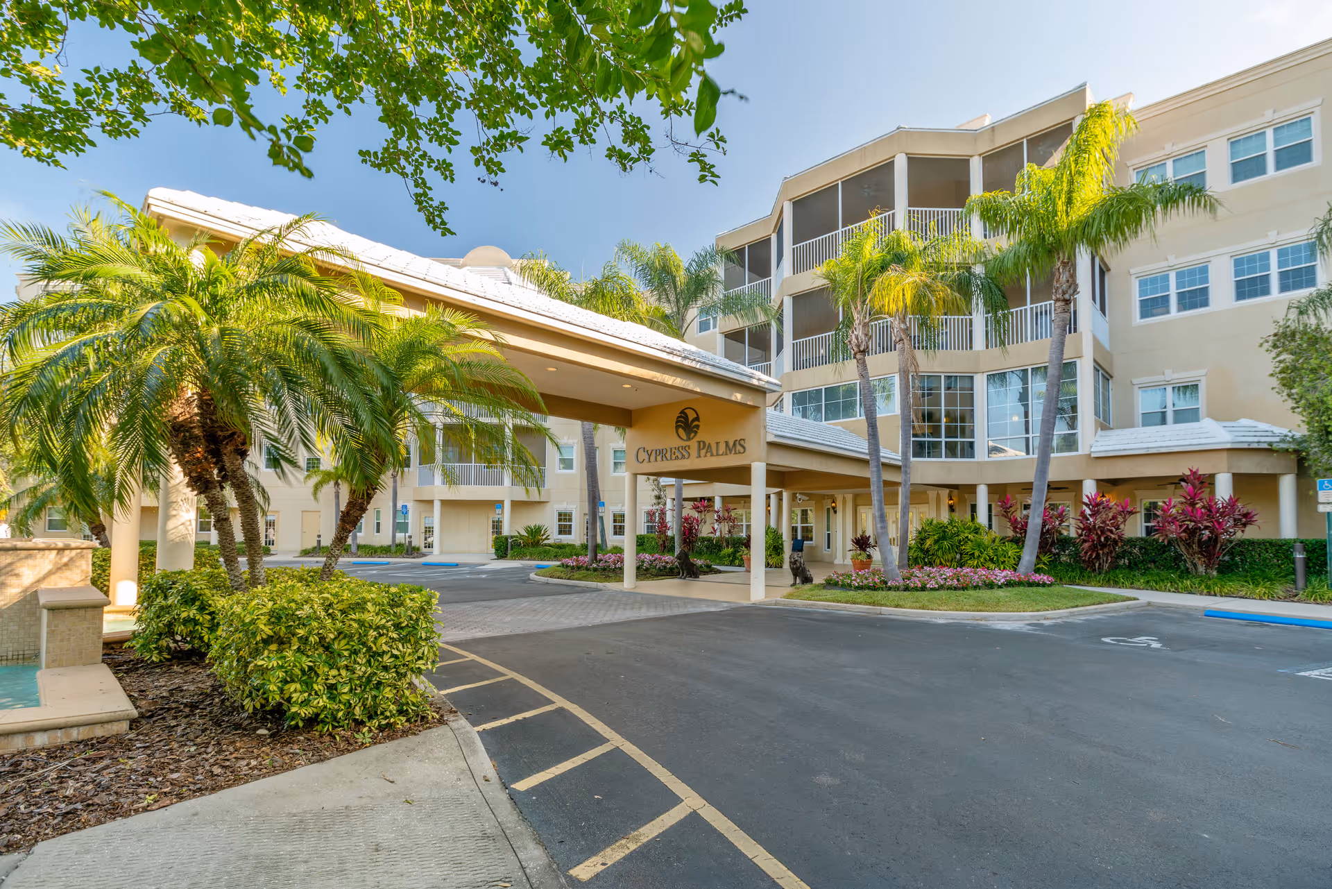 Exterior view of Cypress Palms senior living facility showing the entrance with a covered driveway, palm trees, landscaped bushes, and a multi-story building with balconies and windows under a clear blue sky.