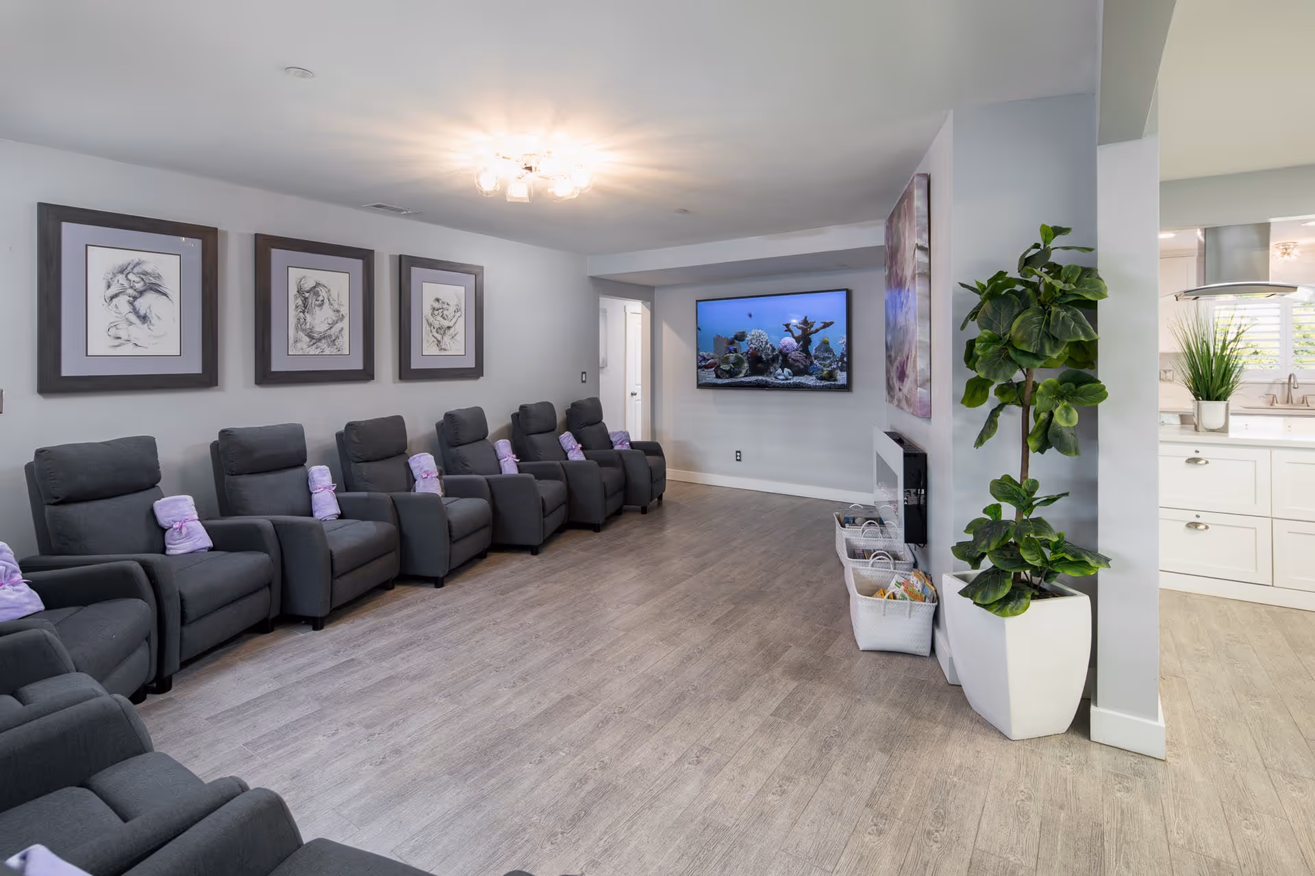 A spacious common room with a row of gray recliner chairs facing a wall-mounted TV and a large potted plant near an open kitchen.