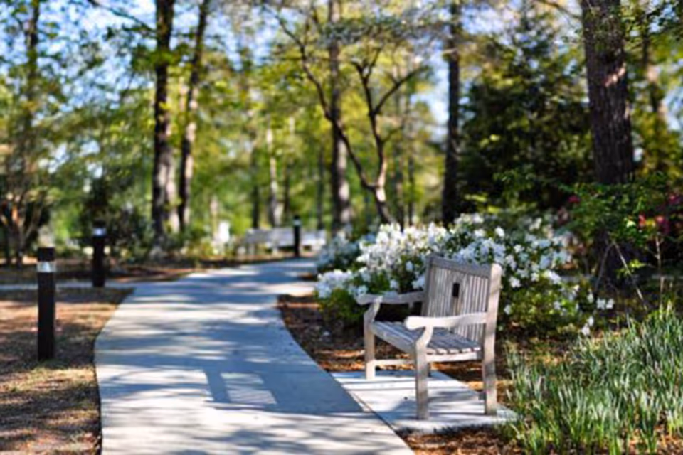 A paved walking path in a wooded outdoor area with trees and flowering bushes. A wooden bench is placed on the right side of the path, surrounded by greenery and white flowers.