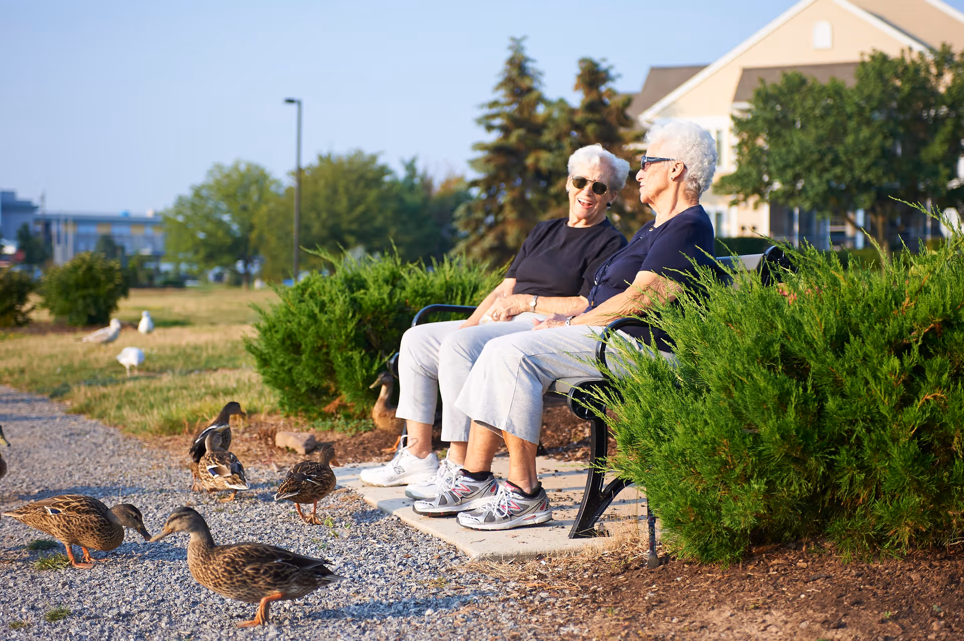 Two elderly women wearing sunglasses sitting on a bench outdoors, surrounded by green bushes and ducks walking on a gravel path nearby. A building and trees are visible in the background under a clear sky.