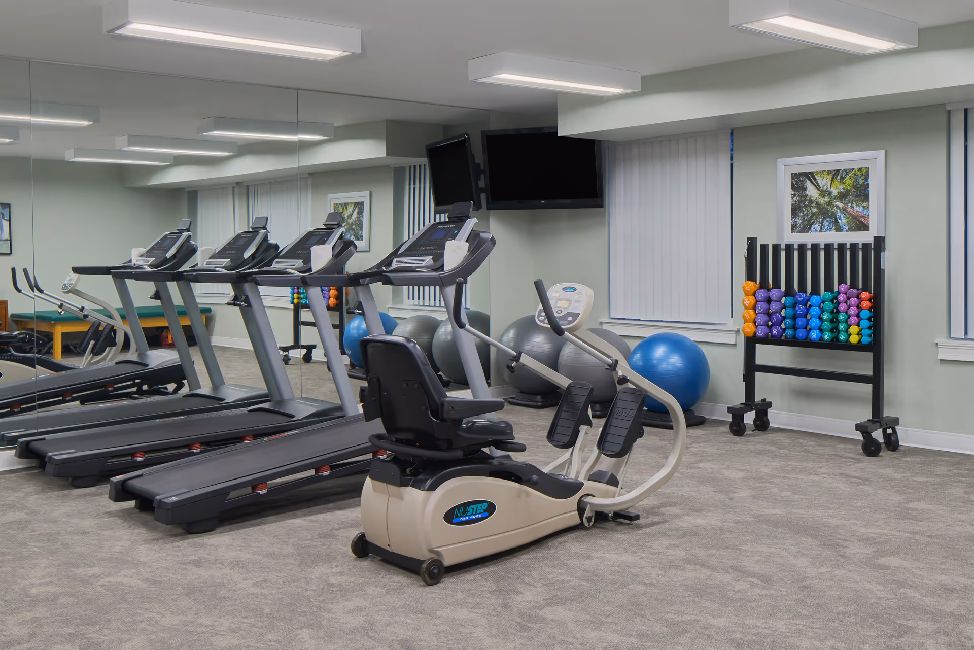Fitness room with multiple treadmills, a recumbent elliptical machine, stability balls, and a rack of colorful dumbbells.