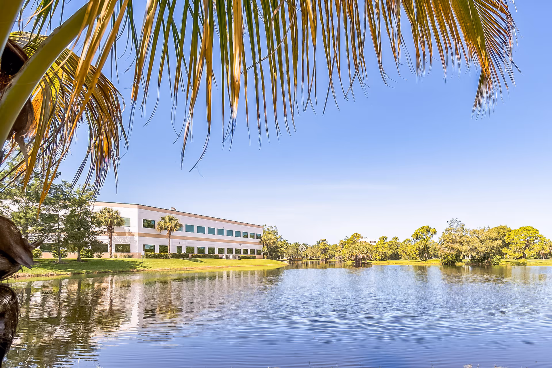 A low-rise building beside a lake framed by palm fronds with trees reflected in the water.