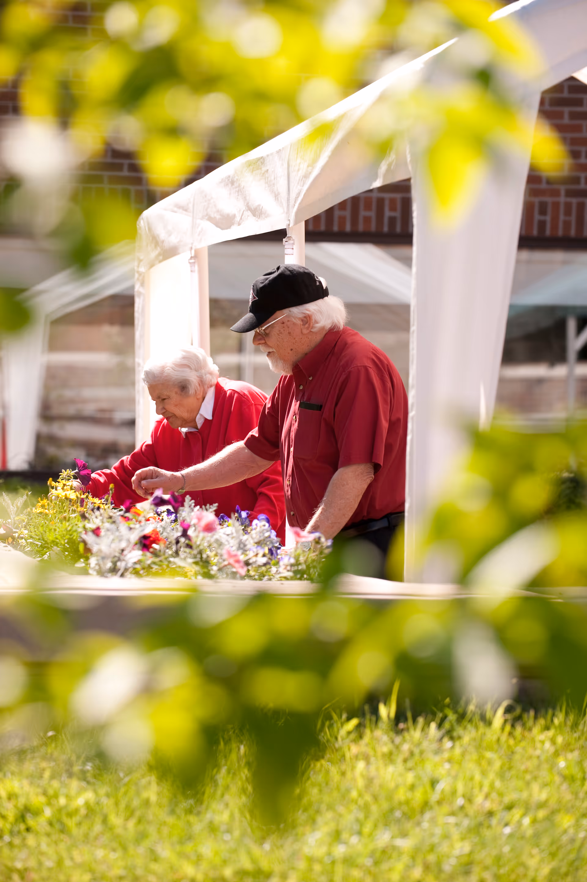 Two elderly individuals tending to a raised garden bed filled with colorful flowers outdoors, with a white canopy structure and brick building in the background, partially framed by green foliage.