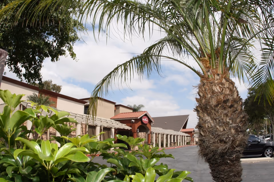 Exterior view of Southland Care Center showing a single-story building with a covered walkway supported by columns. There are palm trees and green shrubs in the foreground, and a partly cloudy sky above.