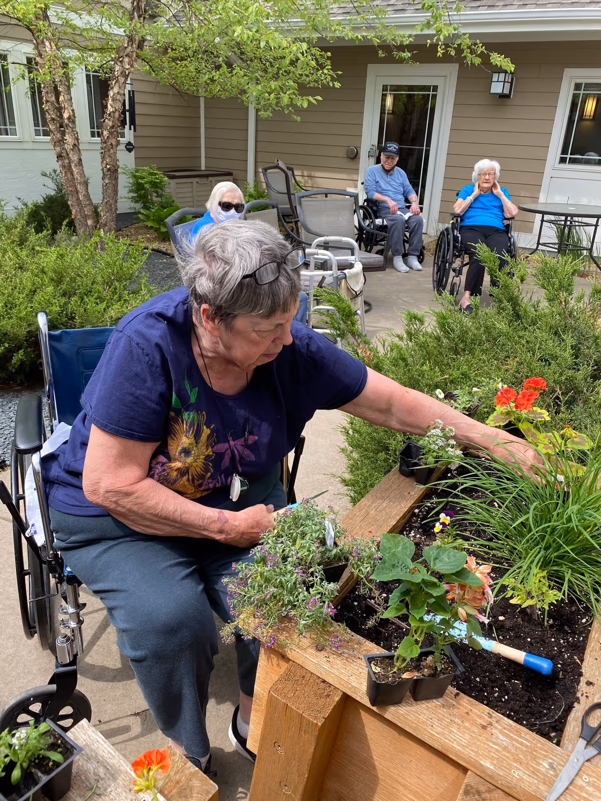 A woman in a wheelchair tends to flowers in a raised planter while other elderly residents sit in wheelchairs on a courtyard patio outside a care home.