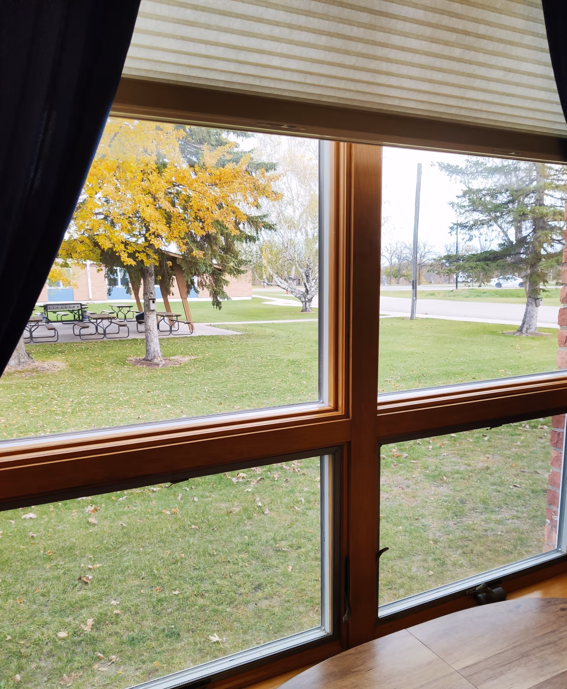 View through a wooden-framed window showing a green lawn with scattered leaves, several trees including one with yellow autumn leaves, picnic tables under a shelter, a sidewalk, and a road in the background.