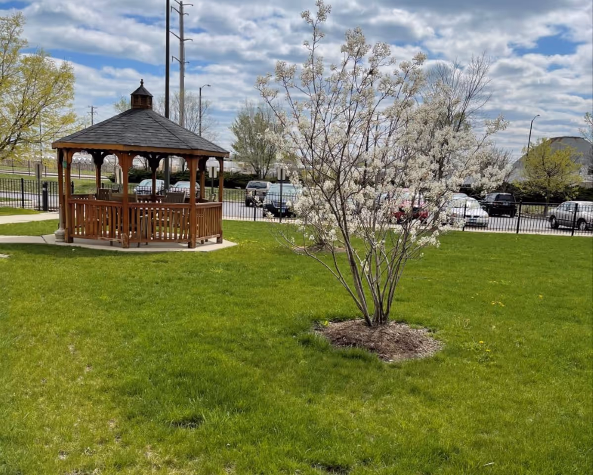 Outdoor scene at Victory Centre of South Chicago Supportive Living featuring a wooden gazebo on a concrete base surrounded by green grass and a small tree with white blossoms. Several cars are parked behind a black metal fence under a partly cloudy sky.