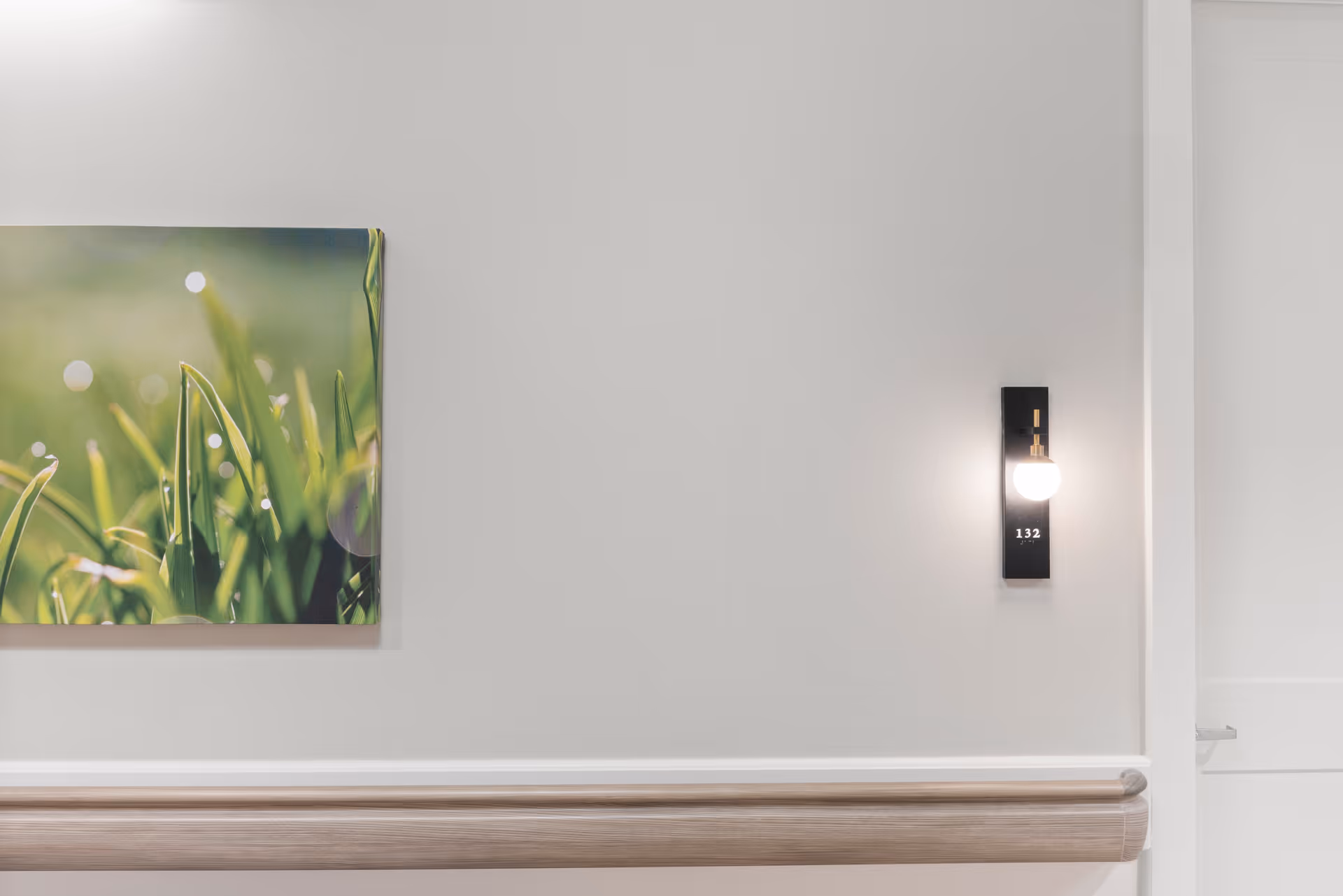 A hallway wall with a wooden handrail, a modern wall light fixture with the number 132 illuminated, and a framed photograph of green grass with dew drops on the left side.