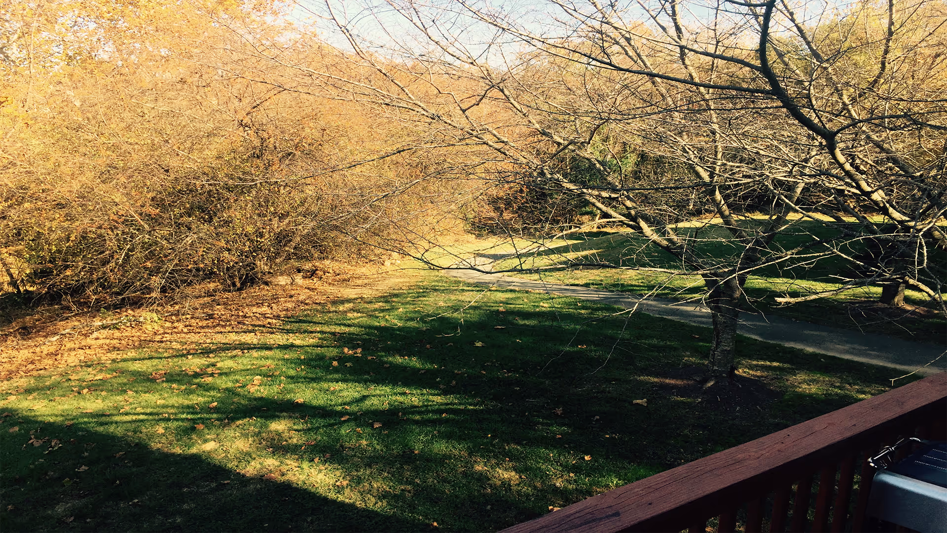 View of an outdoor area with a grassy lawn, leafless trees, and a wooden railing in the foreground, suggesting a deck or porch. The scene is lit by sunlight with shadows cast on the grass.