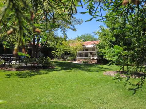 Outdoor lawn with trees and a building with a porch and seating area