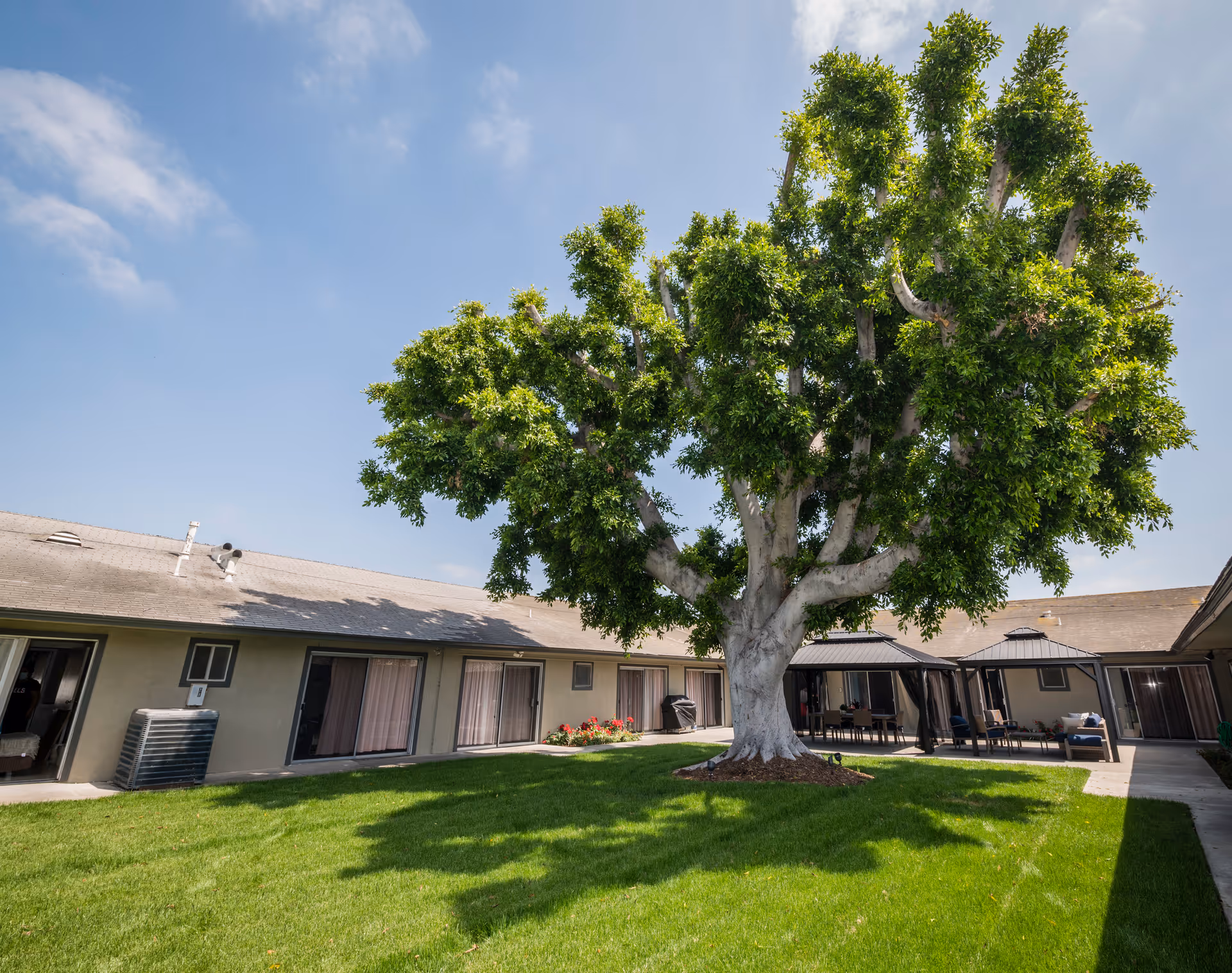 A large courtyard with a lush green lawn and a big tree in the center, surrounded by single-story buildings with sliding glass doors and windows. There are two covered seating areas with chairs and tables on the right side under a clear blue sky.