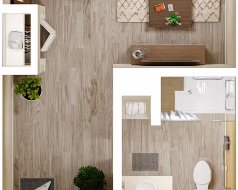 Top-down view of a small apartment floor plan showing a living area with a coffee table, seating, closet and a bathroom with a sink, toilet and shower.