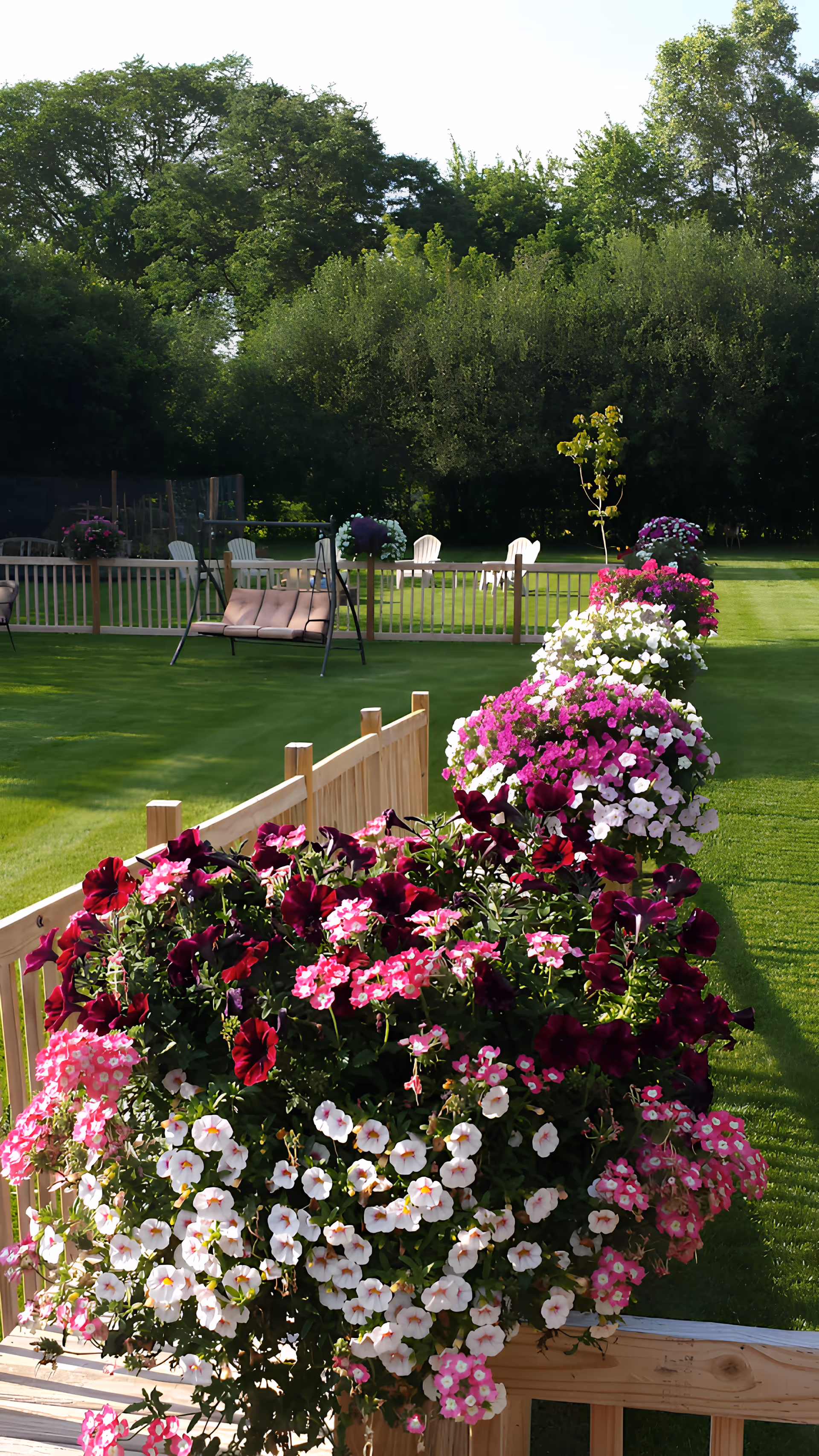 Sunlit outdoor lawn and garden with colorful flower planters along a wooden railing, lawn chairs, and trees in the background.