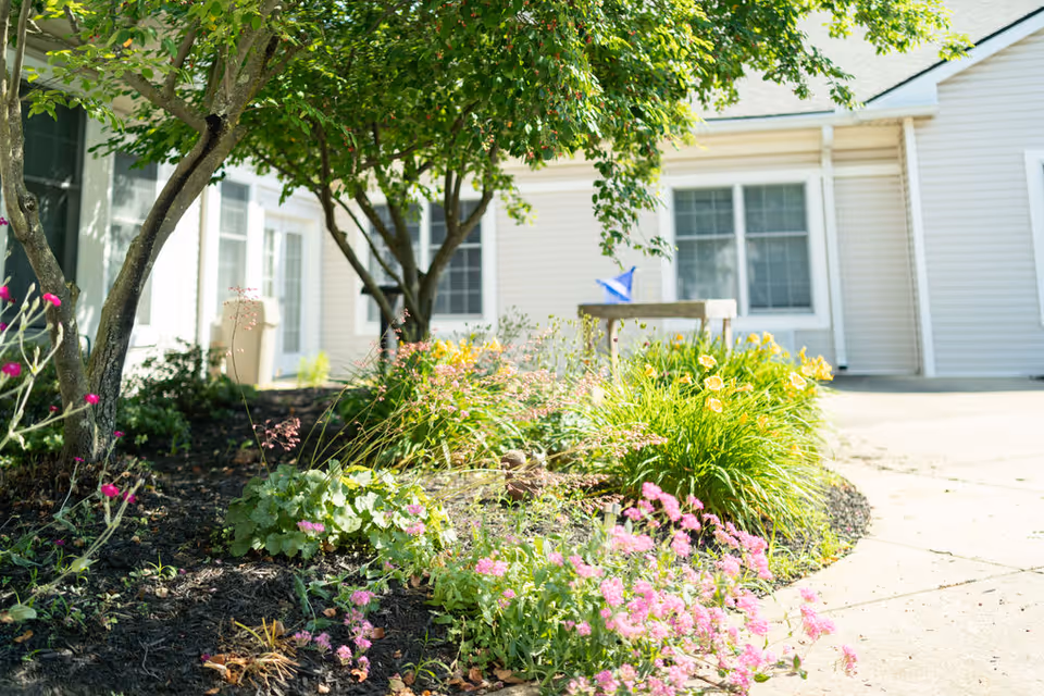 A garden area with blooming pink and yellow flowers, green shrubs, and trees in front of a light-colored building with windows and a door. A paved walkway curves around the garden.
