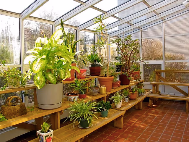 Sunlit indoor garden room with multiple wooden shelves holding various potted plants of different sizes and types, large windows and a glass ceiling allowing natural light to fill the space, and a wooden bench along the right side.