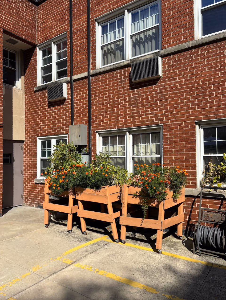 Outdoor area of a brick building with several windows. In front of the building, there are three wooden planter boxes on wheels filled with green plants and orange flowers. A garden hose reel is visible on the right side. The ground is concrete with yellow painted lines.