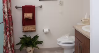 A bathroom with a white toilet, a countertop with a tissue box, a red towel hanging on a silver towel rack, a potted green plant on the floor, and a floral shower curtain.