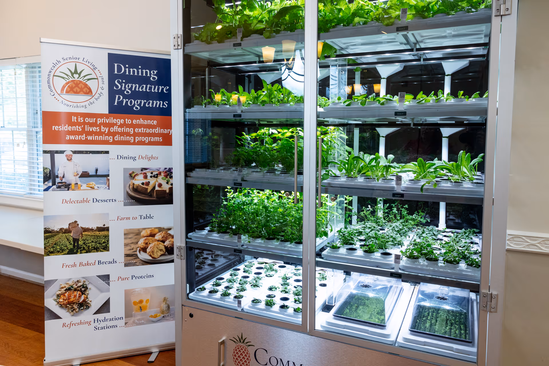 Indoor vertical hydroponic garden with multiple shelves of green leafy plants growing under artificial lights, next to a banner describing Commonwealth Senior Living's Dining Signature Programs.