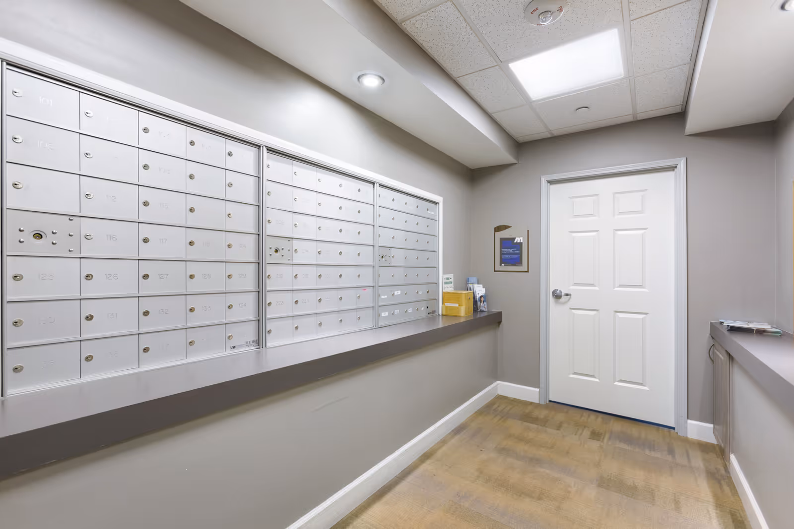 Interior mailroom with rows of white locked mailboxes along a gray wall, a countertop, and a closed white door.