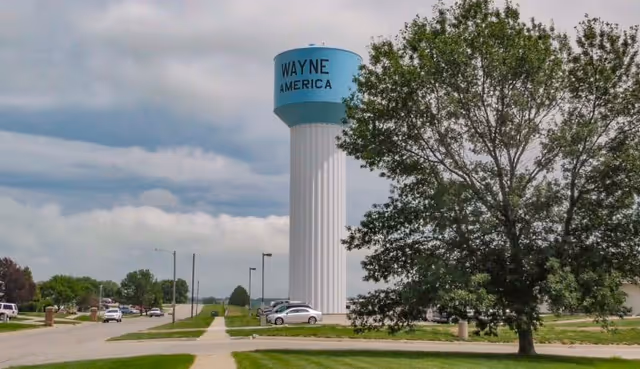 A tall white water tower with a blue top labeled 'WAYNE AMERICA' stands near a road with parked cars and a large tree in the foreground under a cloudy sky.