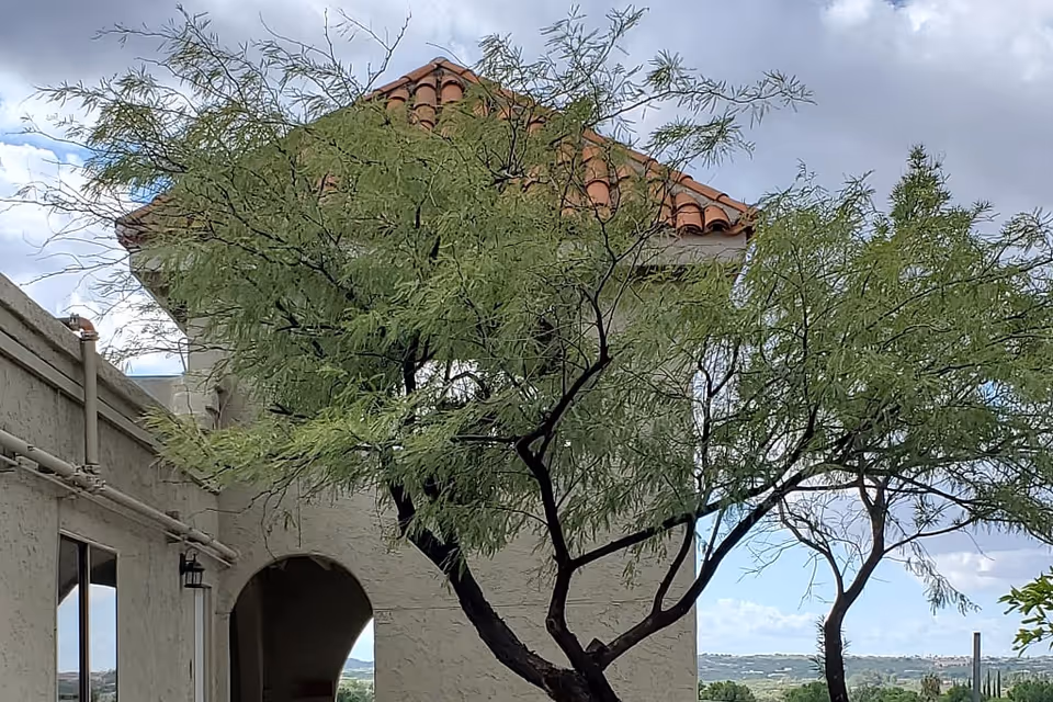 Mediterranean-style building with a red tile roof and arched entry partially obscured by a leafy tree under a cloudy sky.