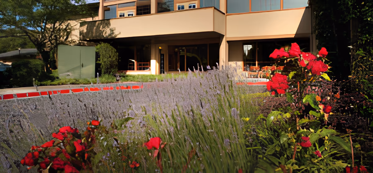 Outdoor garden area in front of a building with blooming red flowers and tall lavender plants, with a beige building entrance in the background.