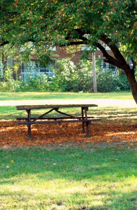 Outdoor park area with a wooden picnic table under a tree near a brick building.