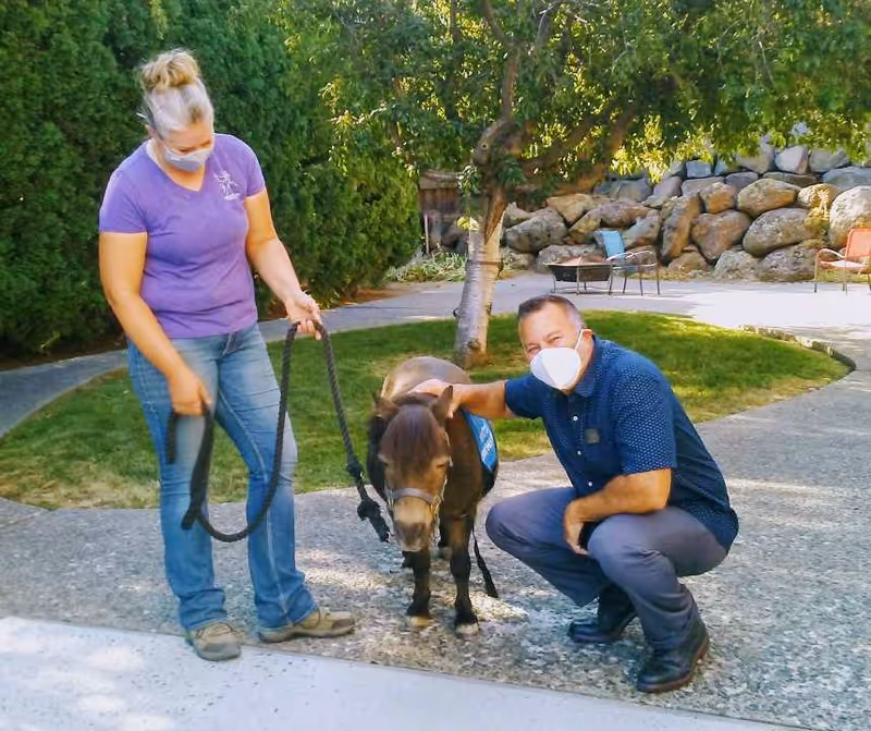 A woman wearing a purple shirt and jeans is holding the leash of a small brown pony. A man wearing a blue shirt and gray pants is crouching next to the pony, petting it. Both people are wearing face masks. They are outdoors on a paved path with green grass, trees, rocks, and chairs in the background.