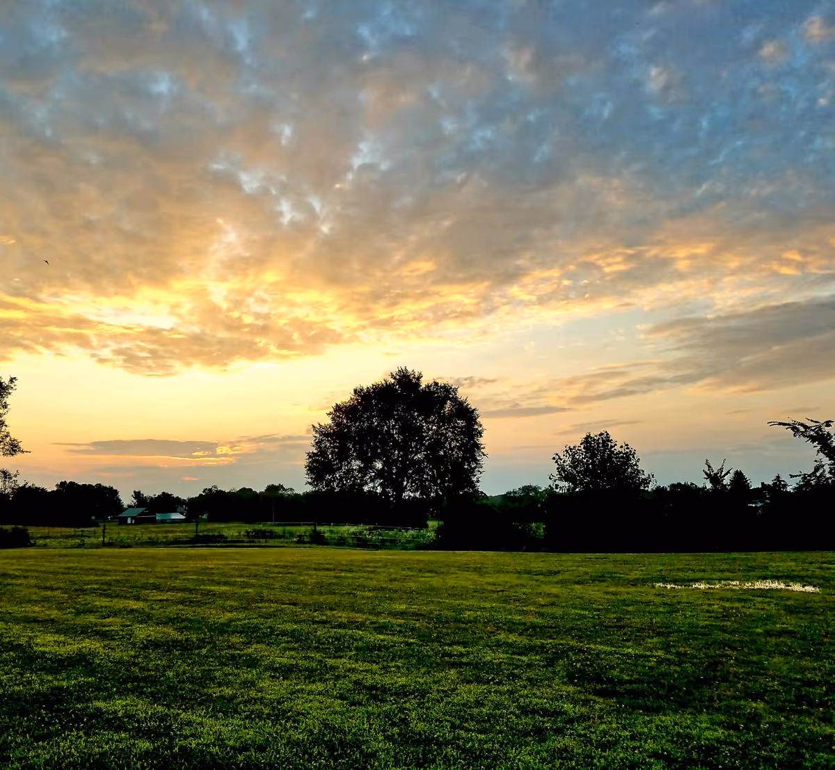 A scenic outdoor view at sunset with a large grassy field in the foreground, several trees silhouetted against the colorful sky with scattered clouds, and a few buildings visible in the distance.