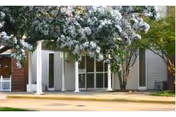 Front entrance of a single-story building with glass doors and white columns partially obscured by a flowering tree.