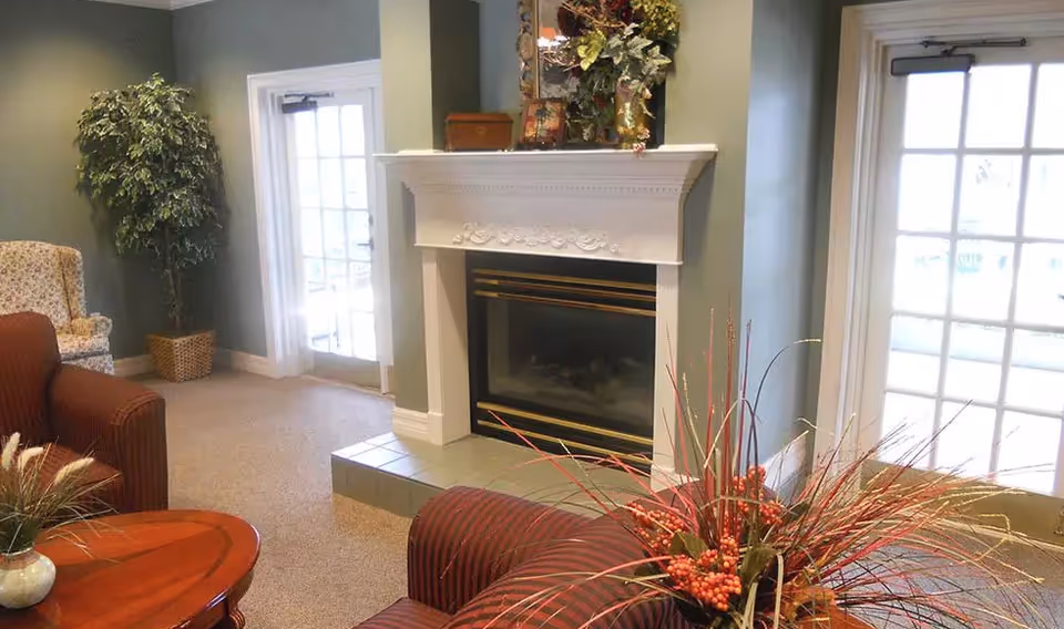 Cozy living room area with a white decorative fireplace, two glass doors on either side letting in natural light, a striped armchair with a floral arrangement on a wooden table in front, a patterned armchair in the corner, and a tall green potted plant.