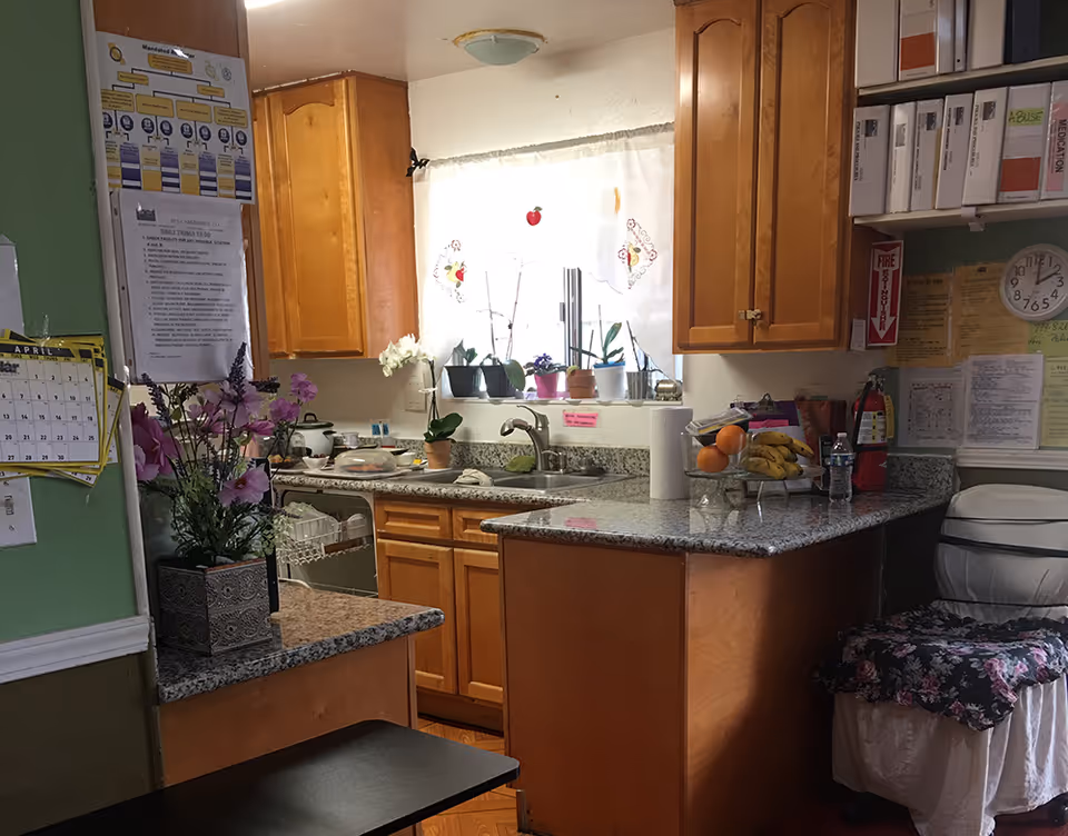 A cozy kitchen area with wooden cabinets, a granite countertop, a sink under a window with white curtains decorated with fruit patterns, and several potted plants on the windowsill. There is a fruit basket with bananas and oranges on the counter, a fire extinguisher mounted on the wall, a clock, and various papers and calendars pinned to the walls. A chair with a floral cushion is placed near the counter.