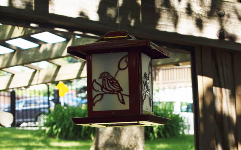 A decorative bird feeder with bird designs hangs under a wooden pergola in a garden area with green grass and plants. In the background, there is a fence and some parked cars.